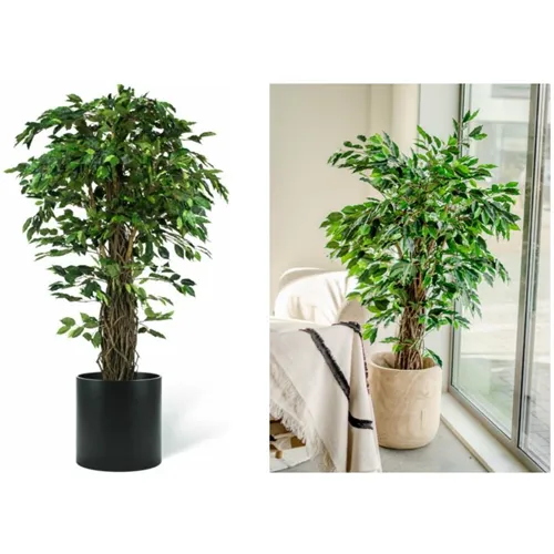 EASYPLANTS KUNSTPLANT FICUS TROPISCH LIANA 150cm