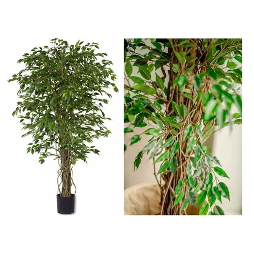 EASYPLANTS KUNSTPLANT FICUS LIANA 180cm