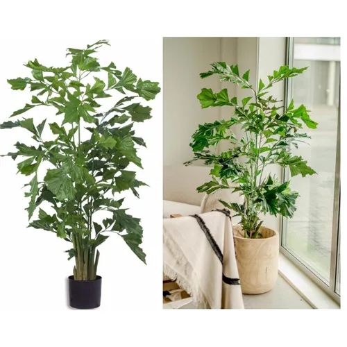 EASYPLANTS KUNSTPLANT FISHTAIL PALM 160cm