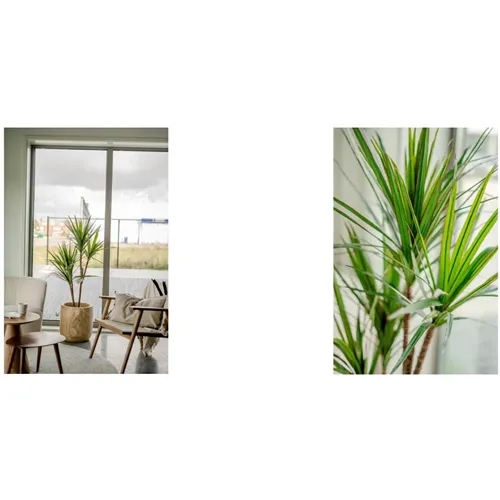 EASYPLANTS KUNSTPLANT DRACAENA PLANT 120cm
