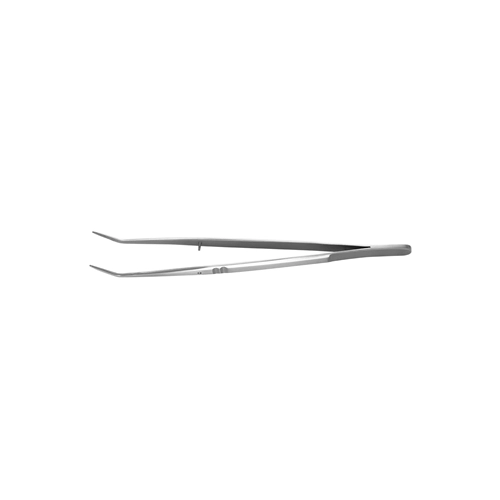 AMERICAN EAGLE LONDON COLLEGE PINCET GLAD HEFT (1st)