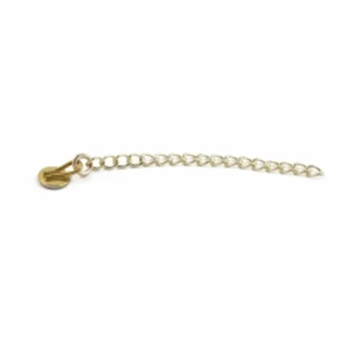 DENTSPLY ERUPTION APPLIANCE GOLD CHAIN
