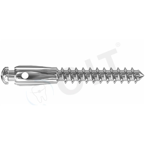 LEONE SELF TAPPING MINI IMPLANT WITH GROOVE, LOW HEAD TITANIUM 8mm (1st) 