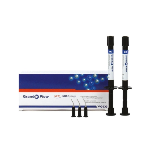 VOCO GRANDIO FLOW COMPOSIET SPUITEN B2 (2x2gr)