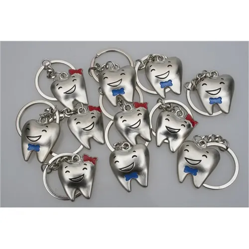 BEST PRESENT METALEN SLEUTELHANGERS KIES (12st)