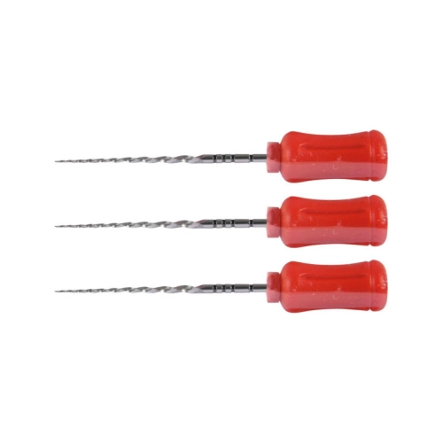 MAILLEFER PROTAPER HANDFILES 25mm F2 ROOD (6st)