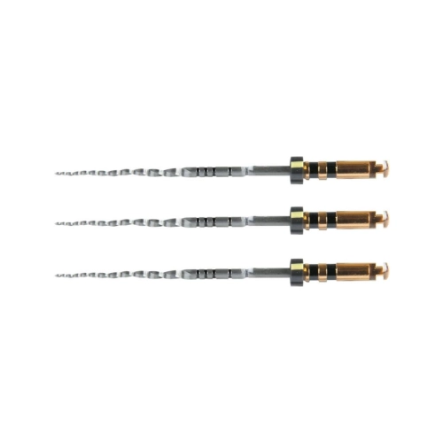 MAILLEFER PROTAPER NEXT FILES 31mm X4 ZWART STERIEL (6st)