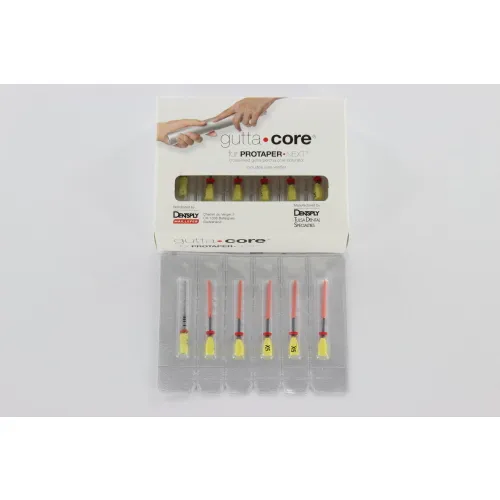 MAILLEFER PROTAPER NEXT GUTTACORE PACK X5 GEEL (5x5st)