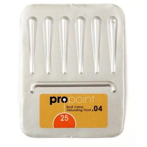 DRFP PROPOINTS REFILL CONSTANT TAPER .04 NR.25 ROOD (6st)