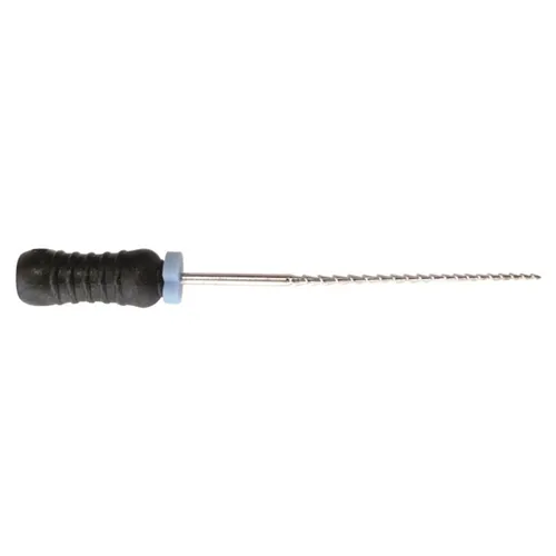 LEGACY ENDO K-VIJLEN 31mm .02 NR. 40 ZWART (6st)