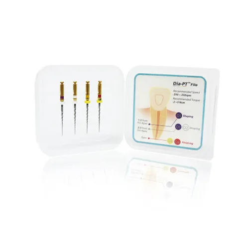 DIADENT DIA-PT FILE D1-D4 STARTERKIT 21mm (4st) 561-191