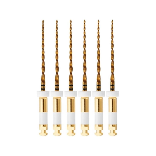 NIC W+FILE GOLD 045.05 LARGE 21mm WIT (6st)