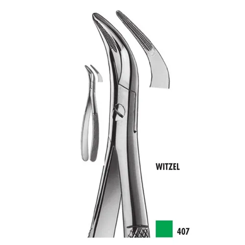 CARL MARTIN WITZEL WORTELRESTTANG ONDR NR.407