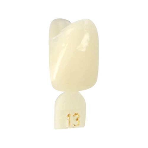 DIRECTA NOODKRONEN NR. 13 (5st)