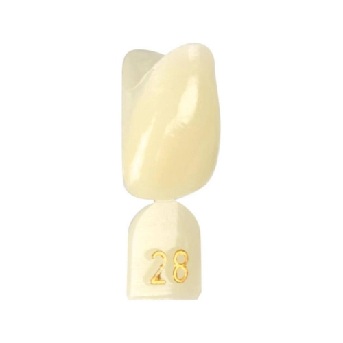 DIRECTA NOODKRONEN NR. 28 (5st)
