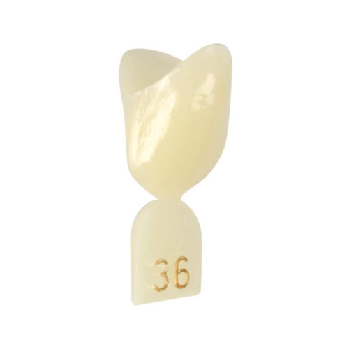 DIRECTA NOODKRONEN NR. 36 (5st)