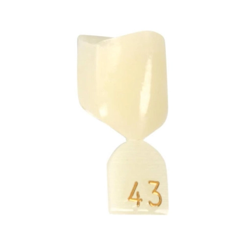 DIRECTA NOODKRONEN NR. 43 (5st)