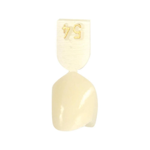 DIRECTA NOODKRONEN NR. 54 (5st)