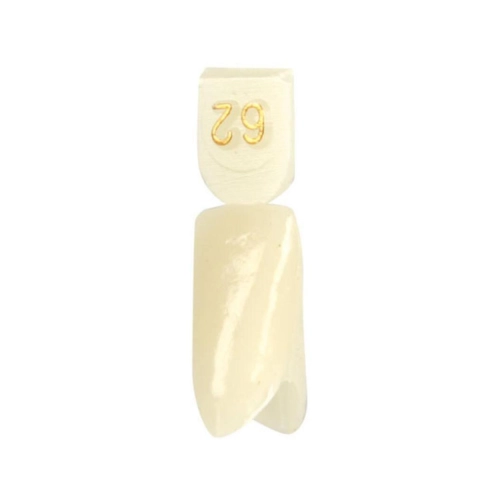 DIRECTA NOODKRONEN NR. 62 (5st)
