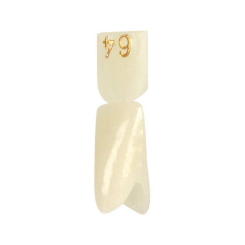 DIRECTA NOODKRONEN NR. 64 (5st)