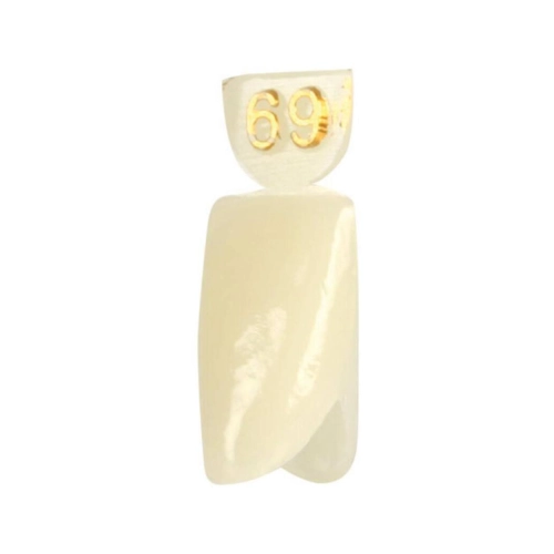 DIRECTA NOODKRONEN NR. 69 (5st)