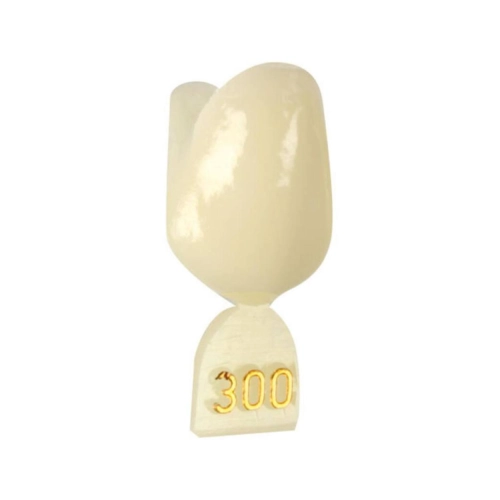 DIRECTA NOODKRONEN NR.300 (5st)