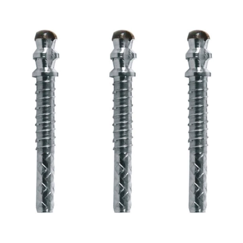 WHALEDENT PARAPOST XT STIFTEN P683-0 BRUIN (10st)