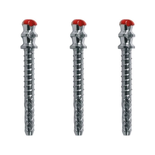 WHALEDENT PARAPOST XT STIFTEN P685-0 ROOD (10st)