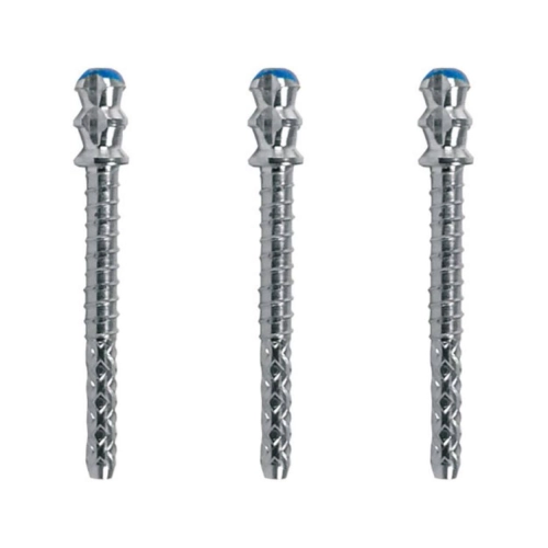 WHALEDENT PARAPOST XT STIFTEN P684-5 BLAUW (10st)