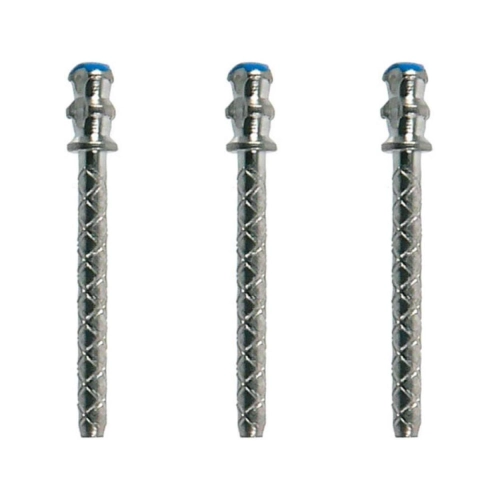 WHALEDENT PARAPOST XH STIFTEN P8845 BLAUW (10st)