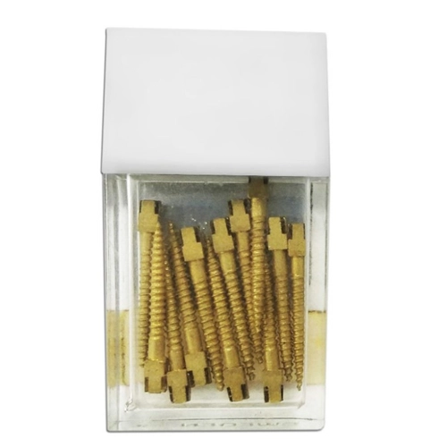 DENTATUS SURTEX GOLD POST RST-M6 (15st)