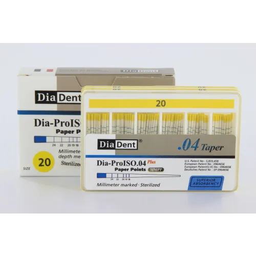 DIADENT PAPERPOINTS .04 NR.20 GEEL (100st)
