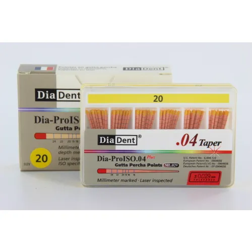 DIADENT GUTTA PERCHA POINTS .04 NR.20 GEEL (60st)