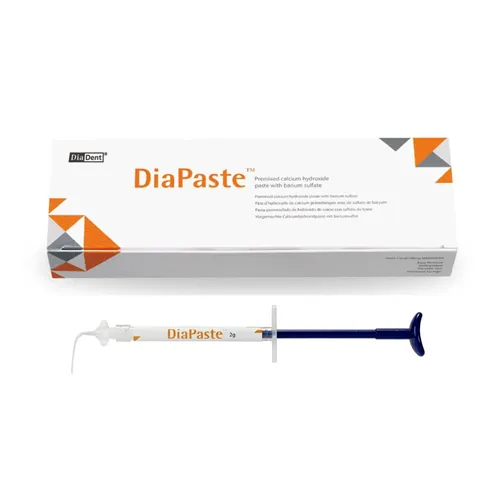 DIADENT DIAPASTE TYPE B REGULAR KIT (2xgr/tips) 1001-402