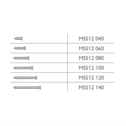 MEISINGER MICRO SCREW SYSTEM SCHROEF MSS12/120 (3st)