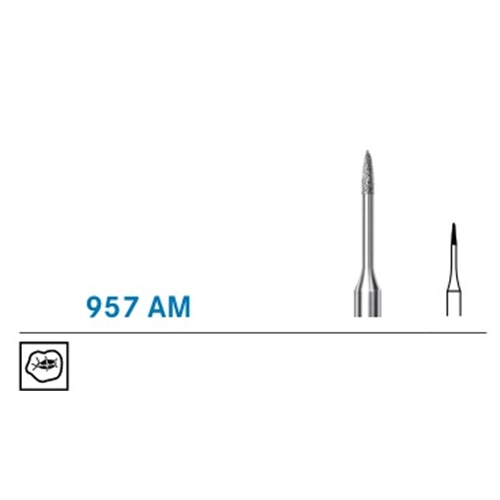 KOMET FG DIAMANT 957AM007 (5st)
