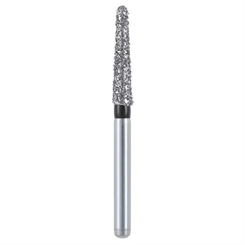 MANI DIA-BURS FG DIAMANT 198X020 (5st)