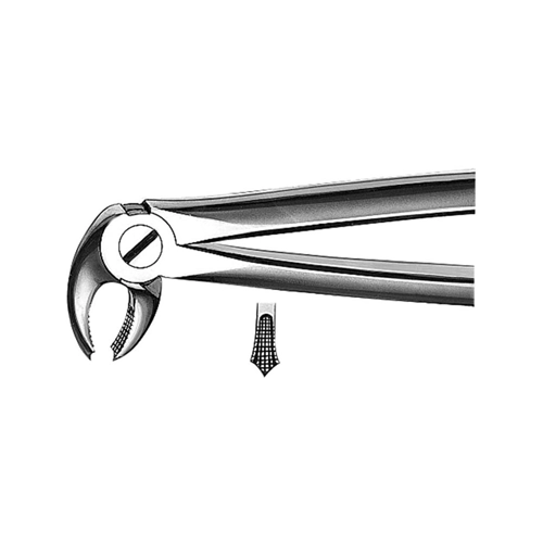 CARL MARTIN MOLARS LOWER BÜCHS M2022 (1st)