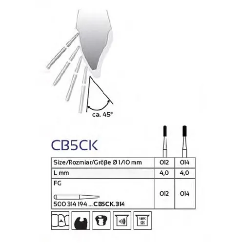 FHS FG CARBIDE CB5CK/012 (5st)