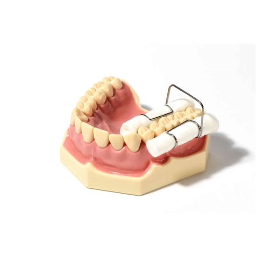 POLYDENTIA WATTENROLHOUDER (4st) 5405/4