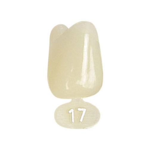 POLODENT NOODKRONEN L CENTRAAL BOVEN NR.17 (5st)