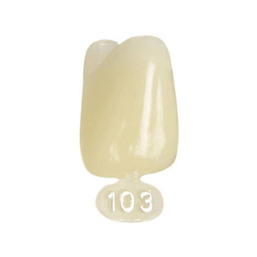 POLODENT NOODKRONEN L CENTRAAL BOVEN NR.103 (5st)