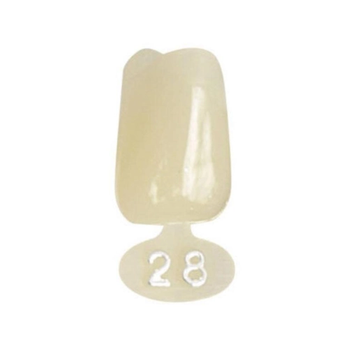 POLODENT NOODKRONEN L LATERAAL BOVEN NR.28 (5st)