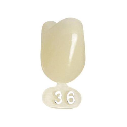 POLODENT NOODKRONEN L CUSPIDATEN BOVEN NR.36 (5st)