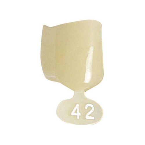 POLODENT NOODKRONEN PREMOLAREN BOVEN NR.42 (5st)