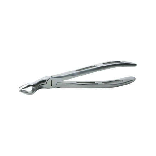 POLODENT GATOREX MOLAARTANG BOVEN GX67A