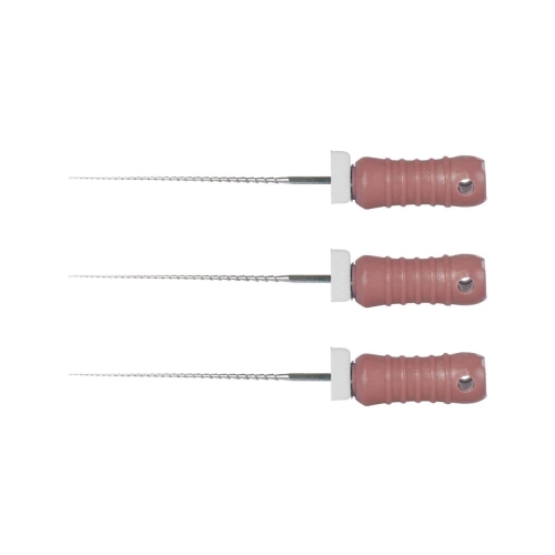 POLODENT HEDSTRÖM FILES 21mm STERIEL ISO NR. 06 (6st)