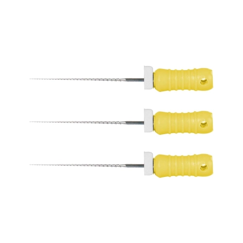 POLODENT HEDSTRÖM FILES 21mm STERIEL ISO NR. 100 (6st)