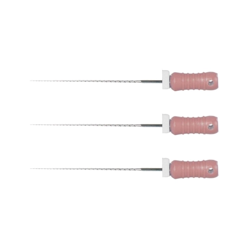 POLODENT HEDSTRÖM FILES 31mm STERIEL ISO NR. 06 (6st)