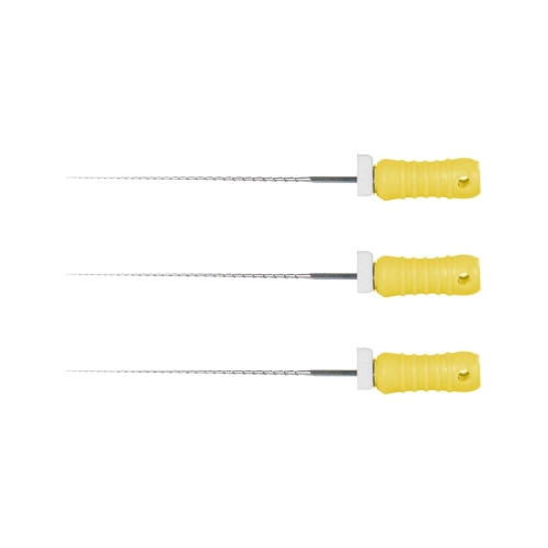 POLODENT HEDSTRÖM FILES 31mm STERIEL ISO NR. 20 (6st)